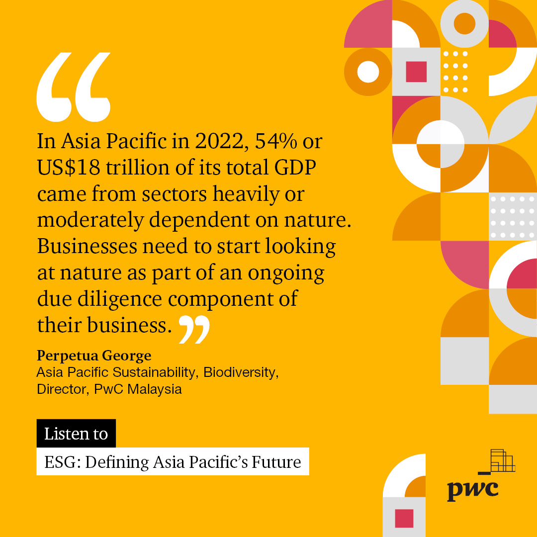 What if your business is more intertwined with nature risk than you've realised? We speak with Perpetua George, a Director in PwC’s Asia Pacific Sustainability team to discuss what biodiversity and nature means for business and why it matters: brnw.ch/21wHFYN #PwCNZ