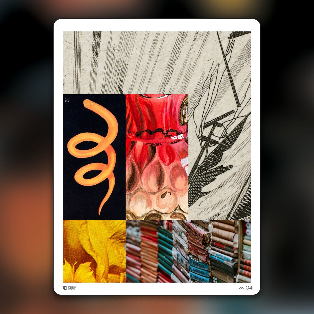 morphic additions - series two now available tweet media