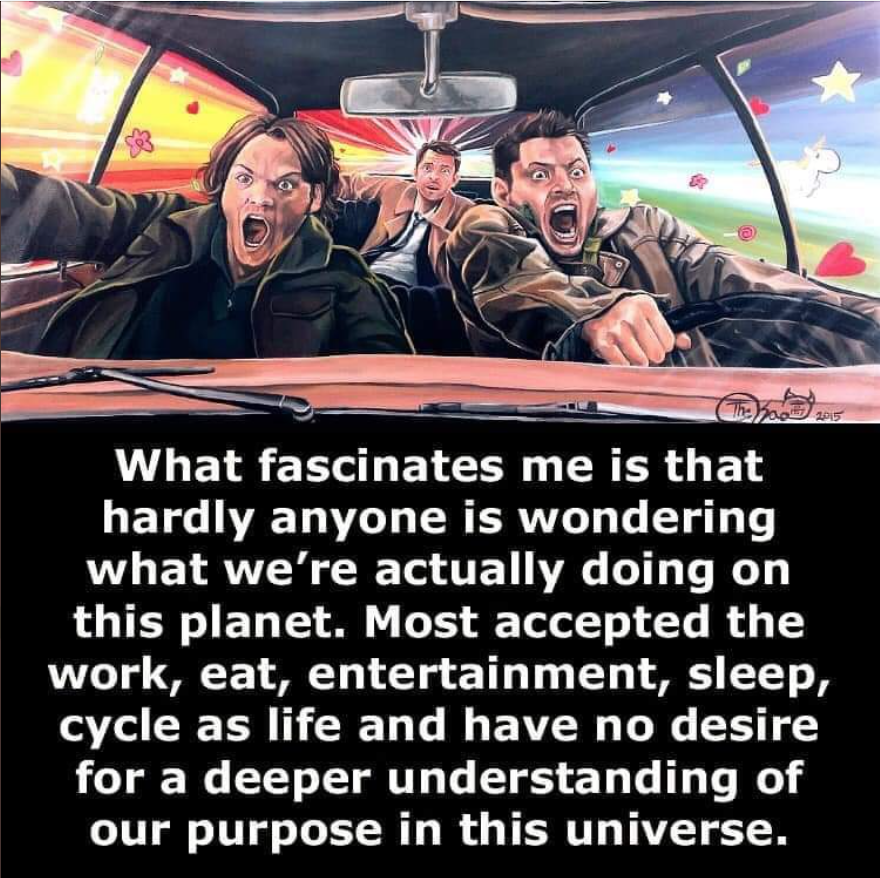 PayItFo72555724's tweet photo. I absolutely adored Sam & Dean in Supernatural.
And Castiel was just an added bonus.
#SamandDean #Supernatural #Castiel #addedbonus #whatfascinatesme #planet #work #eat #entertainment #sleep #lifecycle #nodesire #deeperunderstanding #ourpurpose #TheUniverse https://t.co/Oc3dKvMj2e