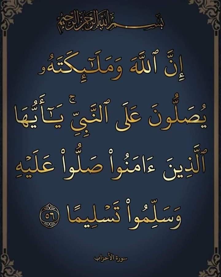 waleed Elshrabiny (@hg50cvwwc9g0wt2) on Twitter photo 