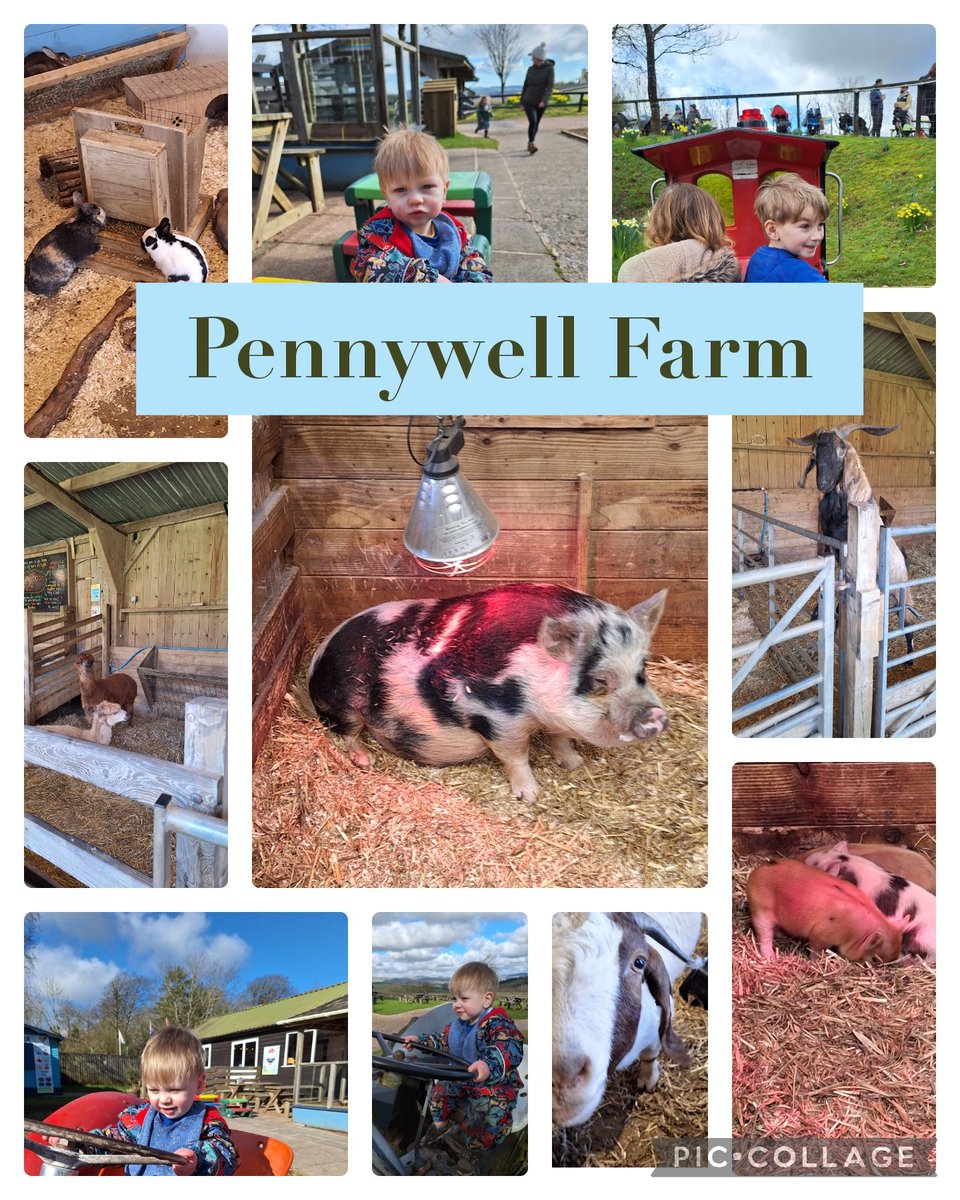 Had such a lovely time in the Sun on Sunday. Such lovely staff aswell @PennywellFarm
