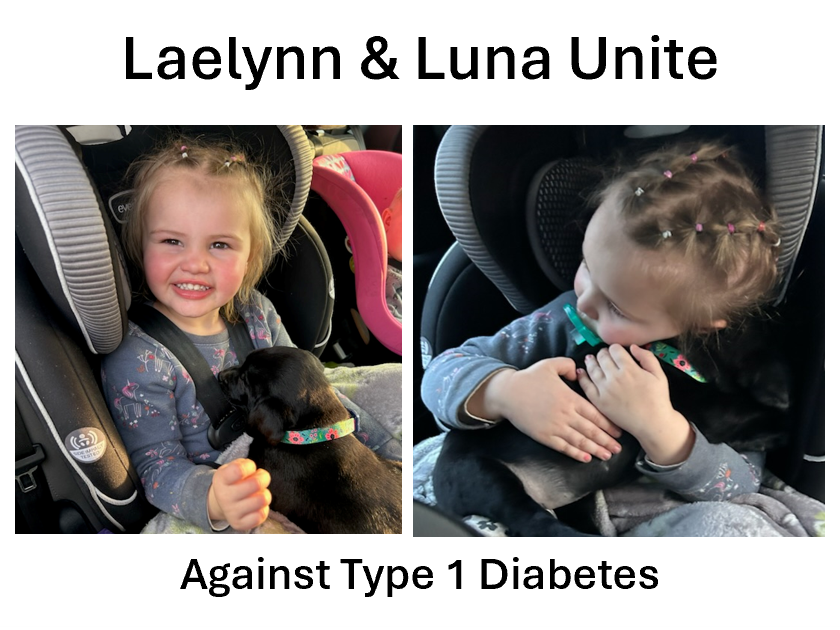 dcubeddogs's tweet photo. 2-year old Laelynn is battling Type 1 Diabetes (T1D).
DCubed helped her parents purchase Luna, her diabetic alert dog (DAD). Now, we need you to donate and help Laelynn's parents have Luna trained to sense Laelynn's blood sugar fluctuations. Please donate.
https://t.co/ETQEBVweQr https://t.co/9uPC7jkcZi
