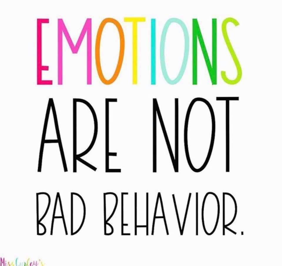 Trying to punish young people into a better way of being is not very smart. Dont get stuck on their behaviour, but instead, looking beneath the behaviour. What are the causes and conditions that are leading to this behaviour. What has been missing in their lives.🧠🌱