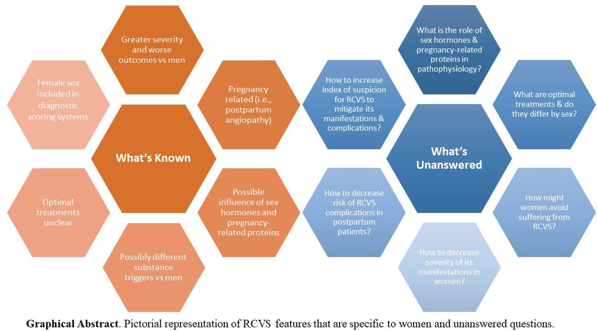 #STROKE Topical Review by @senelson13: Reversible Cerebral Vasoconstriction Syndrome #RCVS and female sex, the importance of highlighting, recognizing, and managing this vasculopathy in women. #AHAJournals #GoRedforWomen ahajrnls.org/49Hlg5d @TuftsMCNeuro