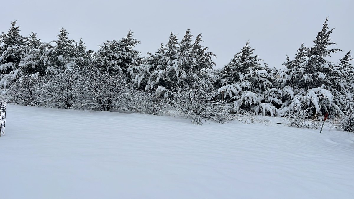 JHurlburt69's tweet photo. Started snowing at 8:30 a.m., lots of melting along the way, 2:00 p.m. measurement 5”#cowx https://t.co/ZFLv86owuT