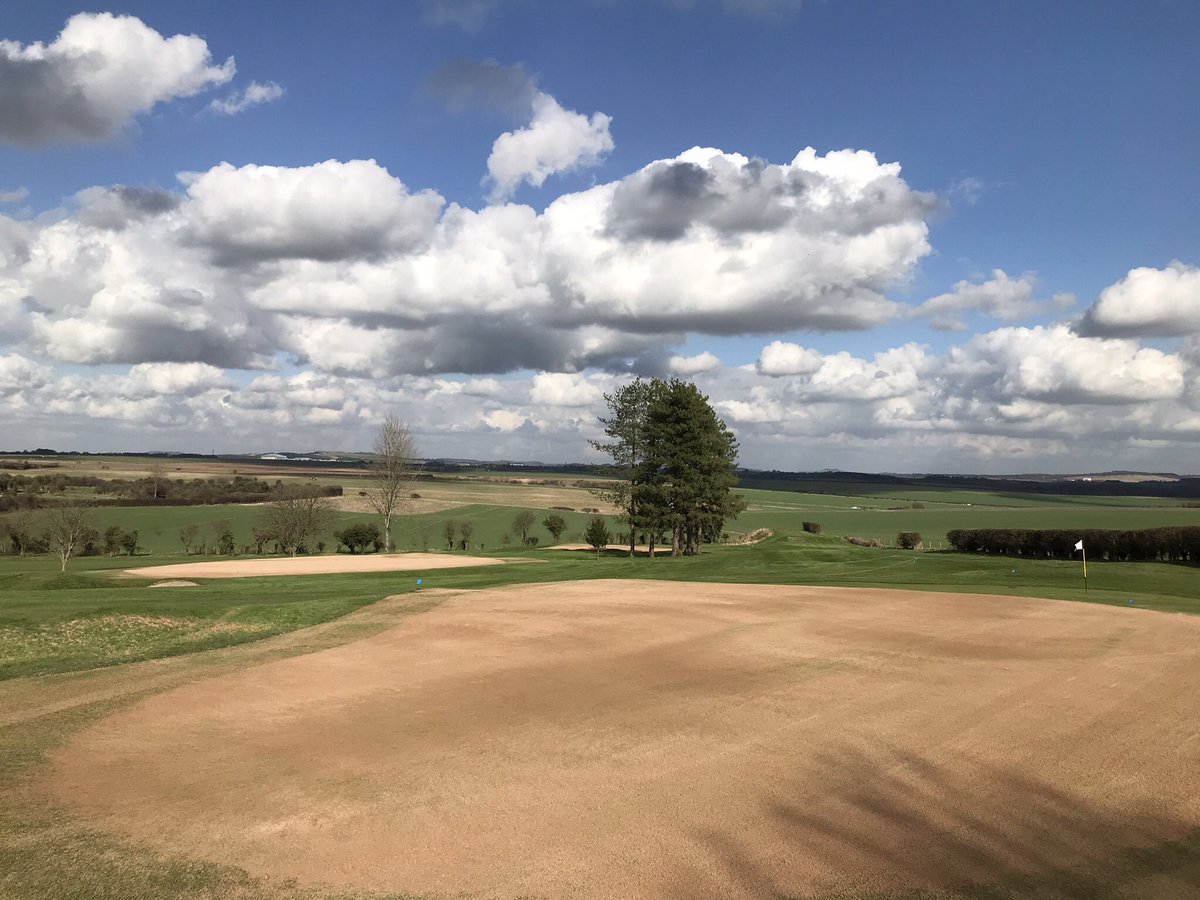 Tom Freeman tweet media