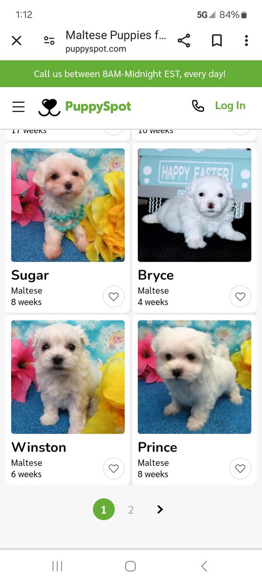 OpsGreedy's tweet photo. @MClaireEgan 
These will make you smile.  Time for a new one? https://t.co/NUYmj1HZTN