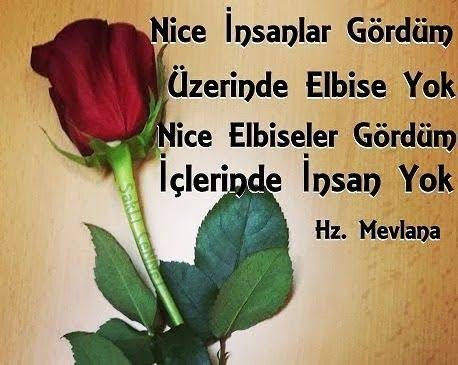 esmerveyso's tweet photo. İnsan artık kime güveneceğini bilmiyor artık 🌼☺️ #hayat #Sevgi #Değer https://t.co/hnyQnHoWGb