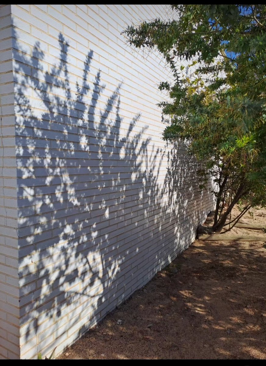 EBMBelluguets's tweet photo. Un panell de projeccions a l' exterior
#AFora, la llum natural i la seva essència
@edupalafrugell
@suaracoop https://t.co/tkNewxO1uE