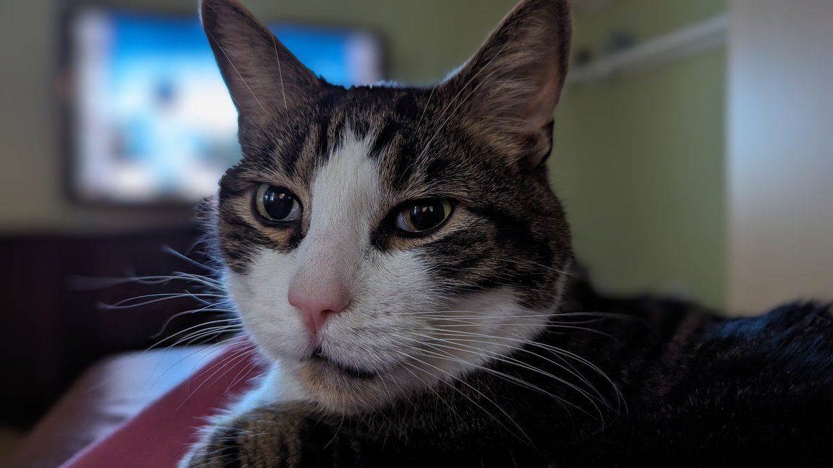 Josh Smith tweet media