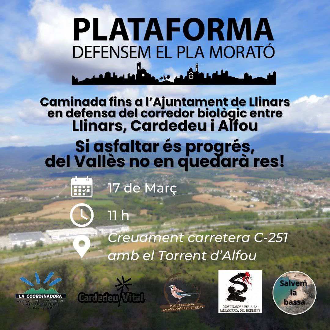 Creiem en un model econòmic basat en la proximitat, que doni sobirania als territoris. No caure en l’asfalt com única via de progrés.

Des-de la Plataforma #DefensemPlaMorató, convoquem al #BaixMontseny i al #Maresme a protegir el corredor biològic entre Montnegre i Montseny