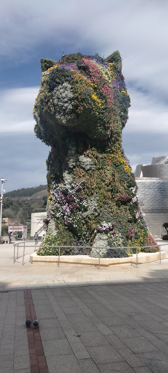 LabbeAdeline's tweet image. 🎬 de fin pour les 2nde euro 🇪🇸 de @JMThouars avec une journée à Bilbao. 
Visite du @MuseoGuggenheim et rallye dans la ville avant un resto de tapas 😋 tout ça sous le ☀️😄 Bravo et merci pour cette superbe semaine 👏👏
@acpoitiers 
#lesvoyagesformentlajeunesse