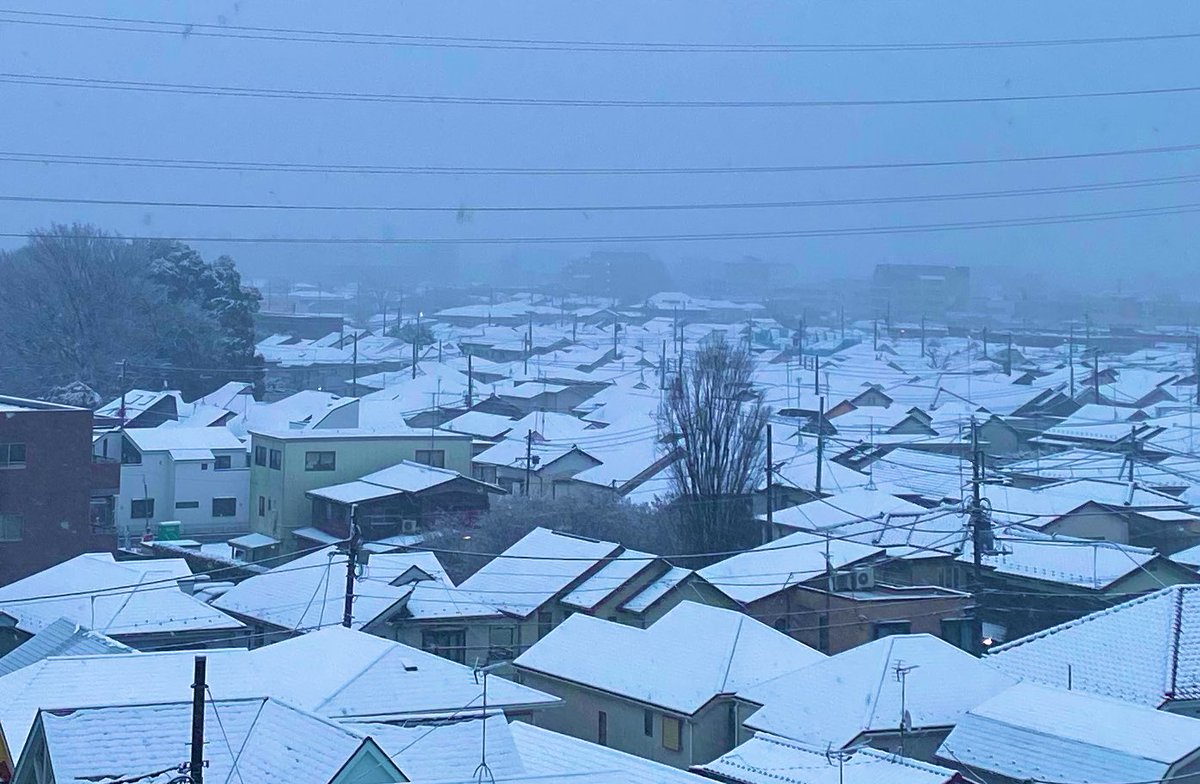 おはようございます

目覚めたら
#銀世界 ❄️