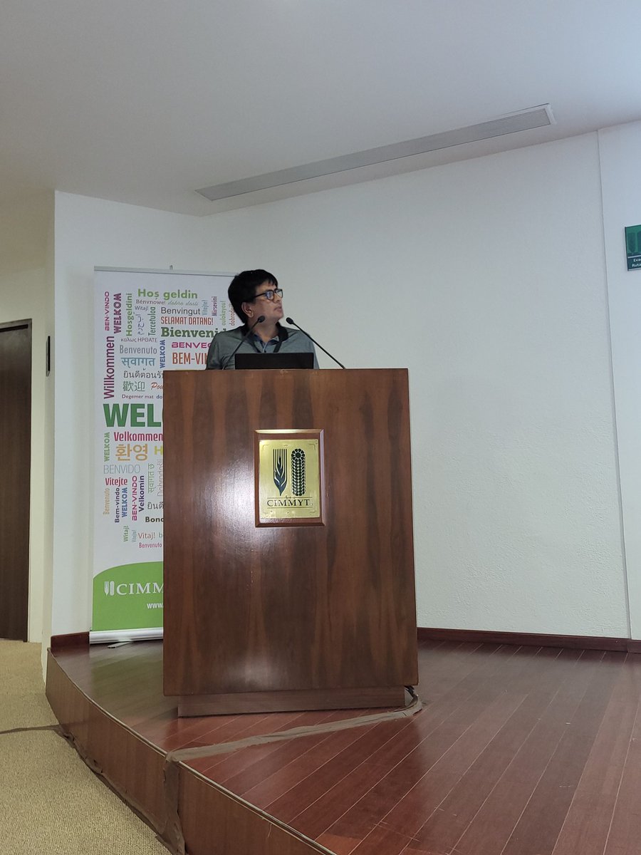 BlueJeansDiva's tweet image. @Cipotato sheds light on digital tech and #FAIR integrations  leveraged for advanced #disease management in #potatoes via: Developing reproducible workflow,  enhancing data interoperability, and case studies and applications.

#Daraverse2024 @CIMMYT @bramaccimmyt @dataverseorg