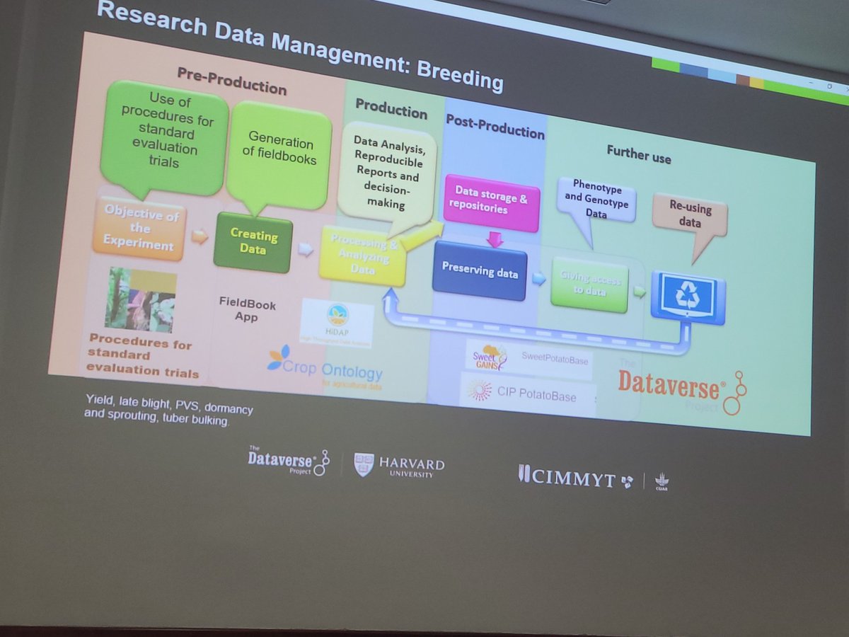BlueJeansDiva's tweet image. @Cipotato sheds light on digital tech and #FAIR integrations  leveraged for advanced #disease management in #potatoes via: Developing reproducible workflow,  enhancing data interoperability, and case studies and applications.

#Daraverse2024 @CIMMYT @bramaccimmyt @dataverseorg