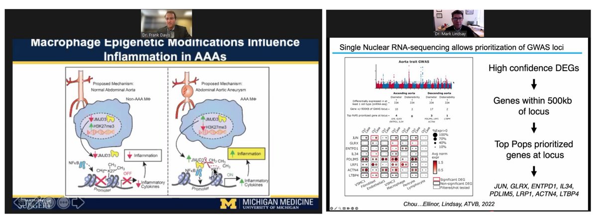 Hao Yin (@haoyin20) on Twitter photo A very educative <a href="/MarfanFdn/">TheMarfanFoundation</a> <a href="/GenTACAlliance/">GenTAC Alliance</a> symposium on single-cell/-nuclei transcriptomics in aortic disease
#AortaEd
Inflammatory vs Non(Not-so)-Inflammatory #AorticAneurysm
Such drastically different angles on Abdominal vs Thoracic Aortic disease😁
<a href="/FrankMDavisMD/">Frank M Davis MD</a> A very educative <a href="/MarfanFdn/">TheMarfanFoundation</a> <a href="/GenTACAlliance/">GenTAC Alliance</a> symposium on single-cell/-nuclei transcriptomics in aortic disease
#AortaEd
Inflammatory vs Non(Not-so)-Inflammatory #AorticAneurysm
Such drastically different angles on Abdominal vs Thoracic Aortic disease😁
<a href="/FrankMDavisMD/">Frank M Davis MD</a>