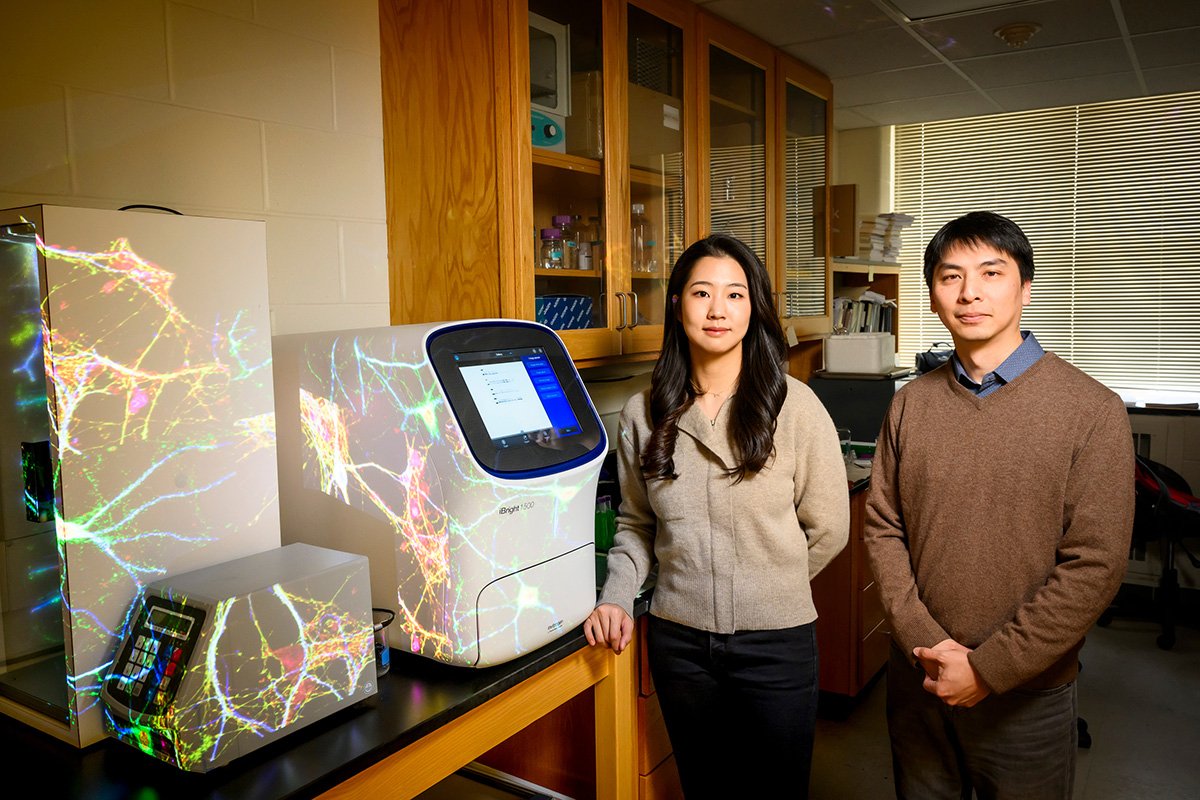 #ILLINOIS researchers identified the earliest-yet marker of Alzheimer’s disease in the brains of mice. The work could create new targets for early detection or treatment options. news.illinois.edu/view/6367/1176…