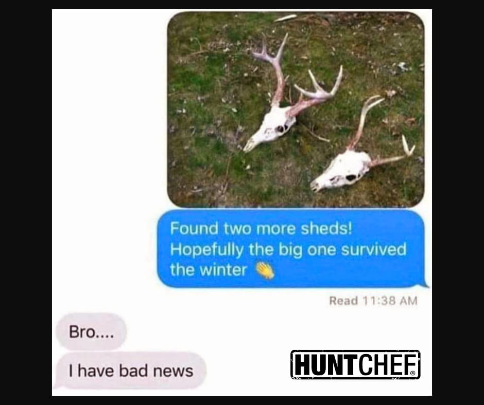 Umm.....#shedhunting #shedrally #eatwhatyoukill #wildflavor #huntchef