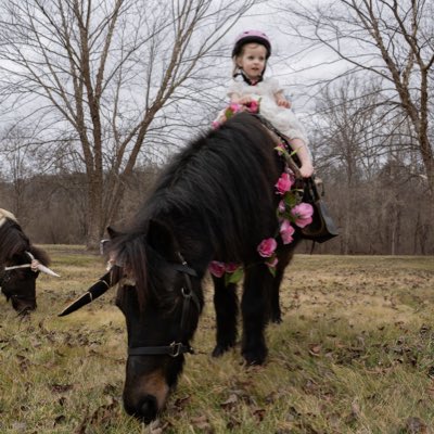Hogback Mountain Pony Rides tweet media