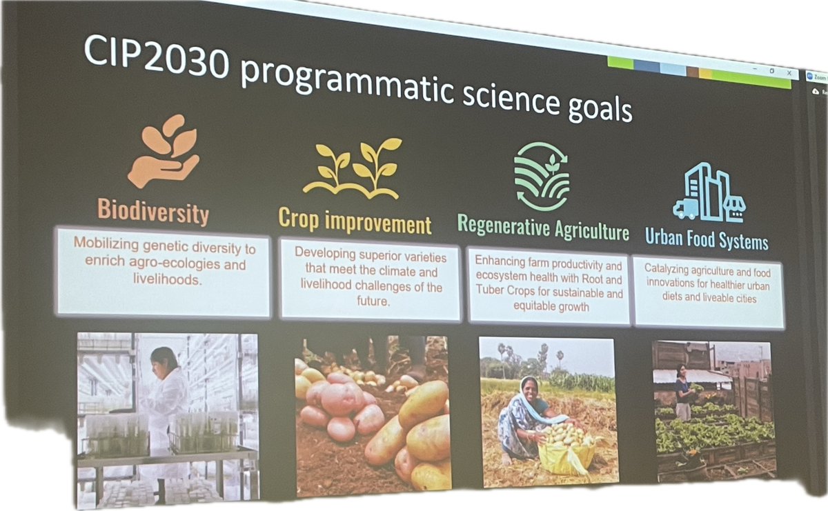 CeesH_DANS's tweet image. At #Dataverse2024 Juarez Henry from @Cipotato shows the connection between data, @Dataverse and securing our food/potato resources and fighting blight disease. Next to the work of our @CIMMYT host, another nice example of the importance of well managed data for food security....