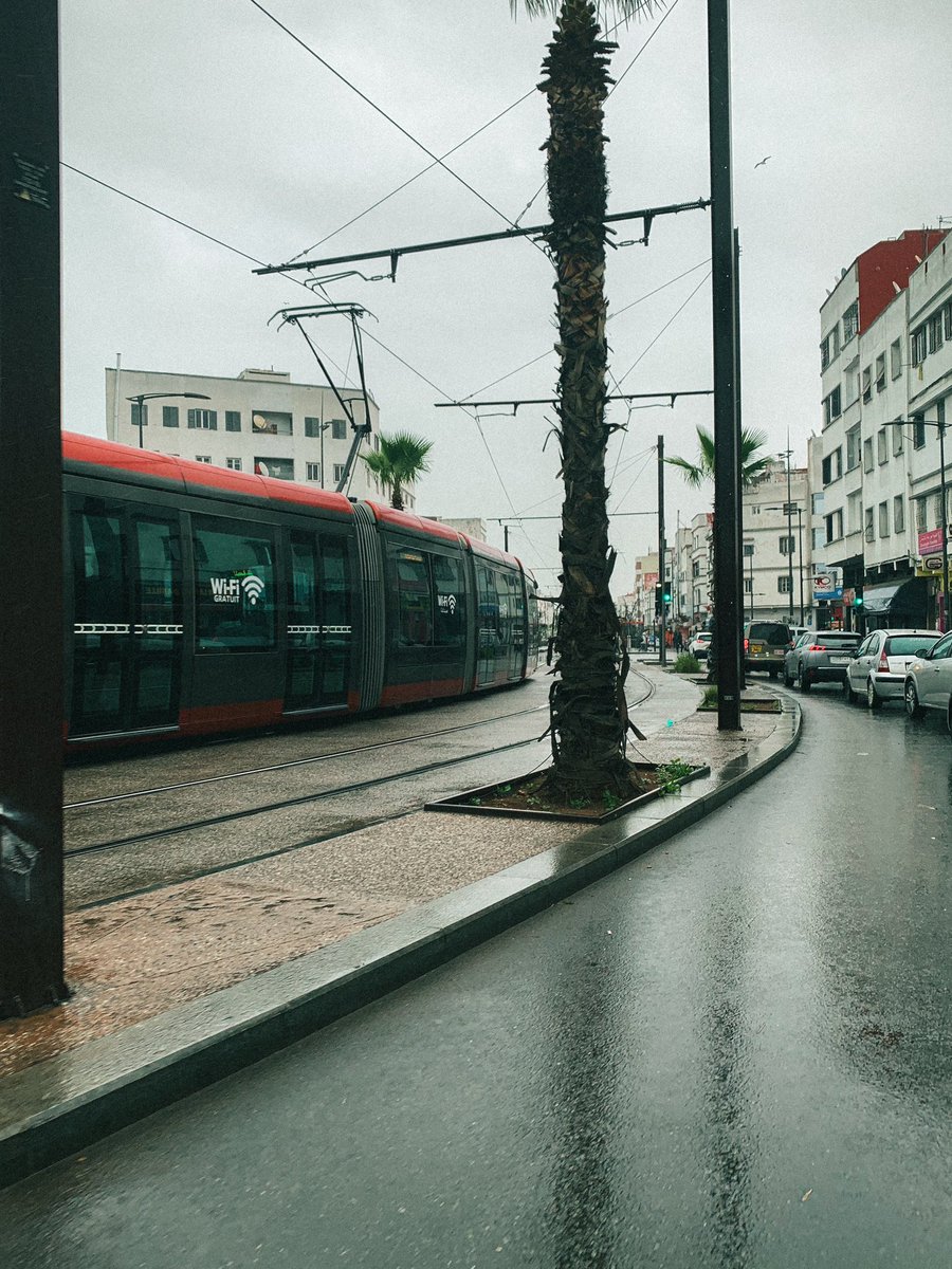 وليد tweet media