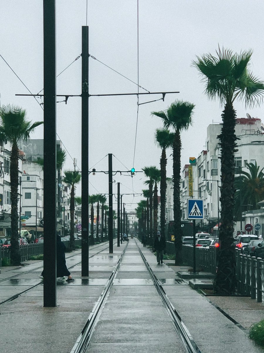 وليد tweet media