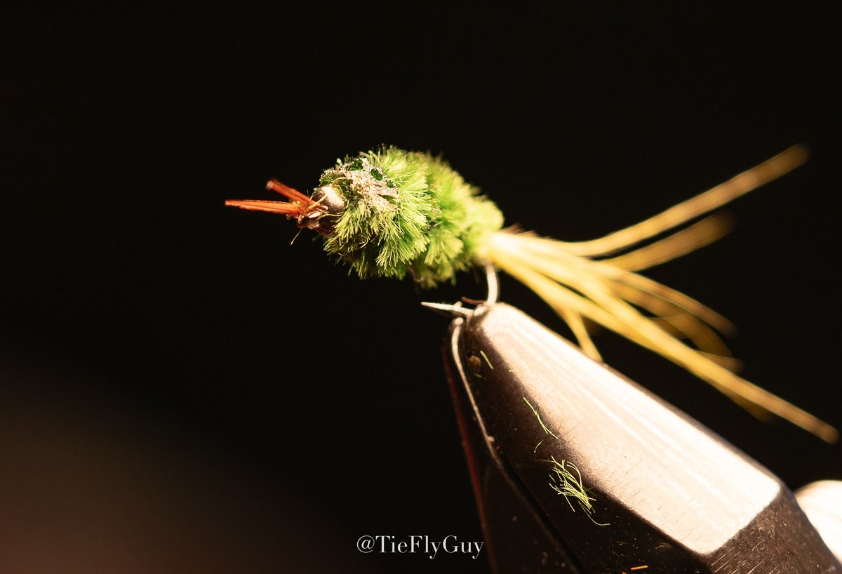 tieflyguy's tweet photo. Crash of Ohio  
#tieflys
#flyfishing 
#TieFlysWhenYourHavingFun
#FlyTying https://t.co/QY4rqzltjb