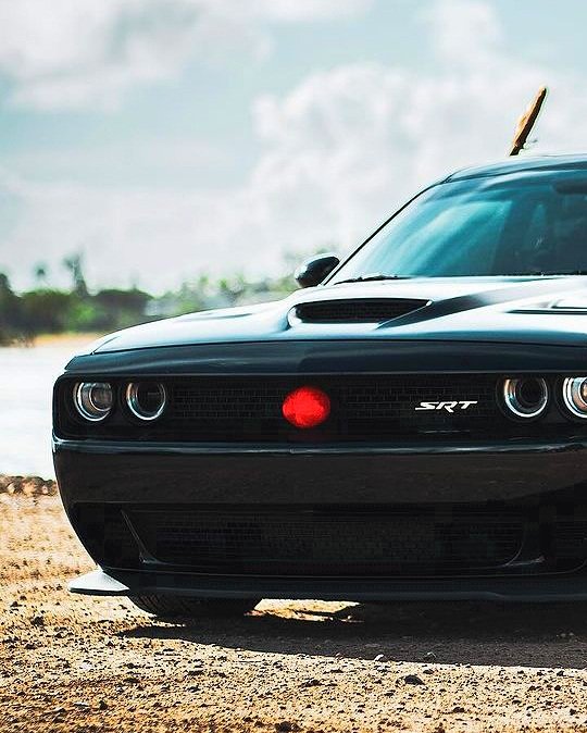DodgeFanClub's tweet photo. Dodge Challenger SRT Hellcat🚀
📸: D'Arty R. https://t.co/n5IbtHaO3R
