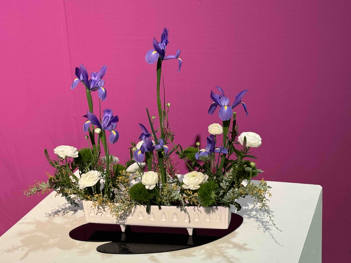 Amykahnrussell's tweet photo. We love color! And the Philadelphia Flower show is inspiring new colors! #phillyflowershow #phsflowershow #flowershowmarketplace https://t.co/DtBB9IvR8t