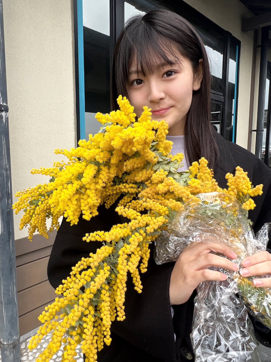iyoda_ayane's tweet photo. おはようございます！
今日はミモザの日
とも呼ばれる日なんだって。

写真は、お出かけした時に
道の駅で妹が選んでくれたミモザ🫶🏻

#ミモザの日 #3月8日 #潮見坂 #道の駅 #伊予田あや https://t.co/1HXB3hR7GX