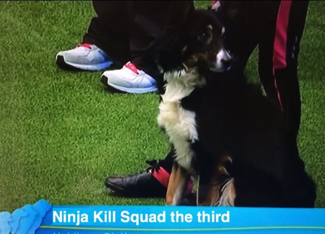 joeheenan's tweet photo. My favourite Crufts dog names 
#crufts https://t.co/CaVYPWAcPB