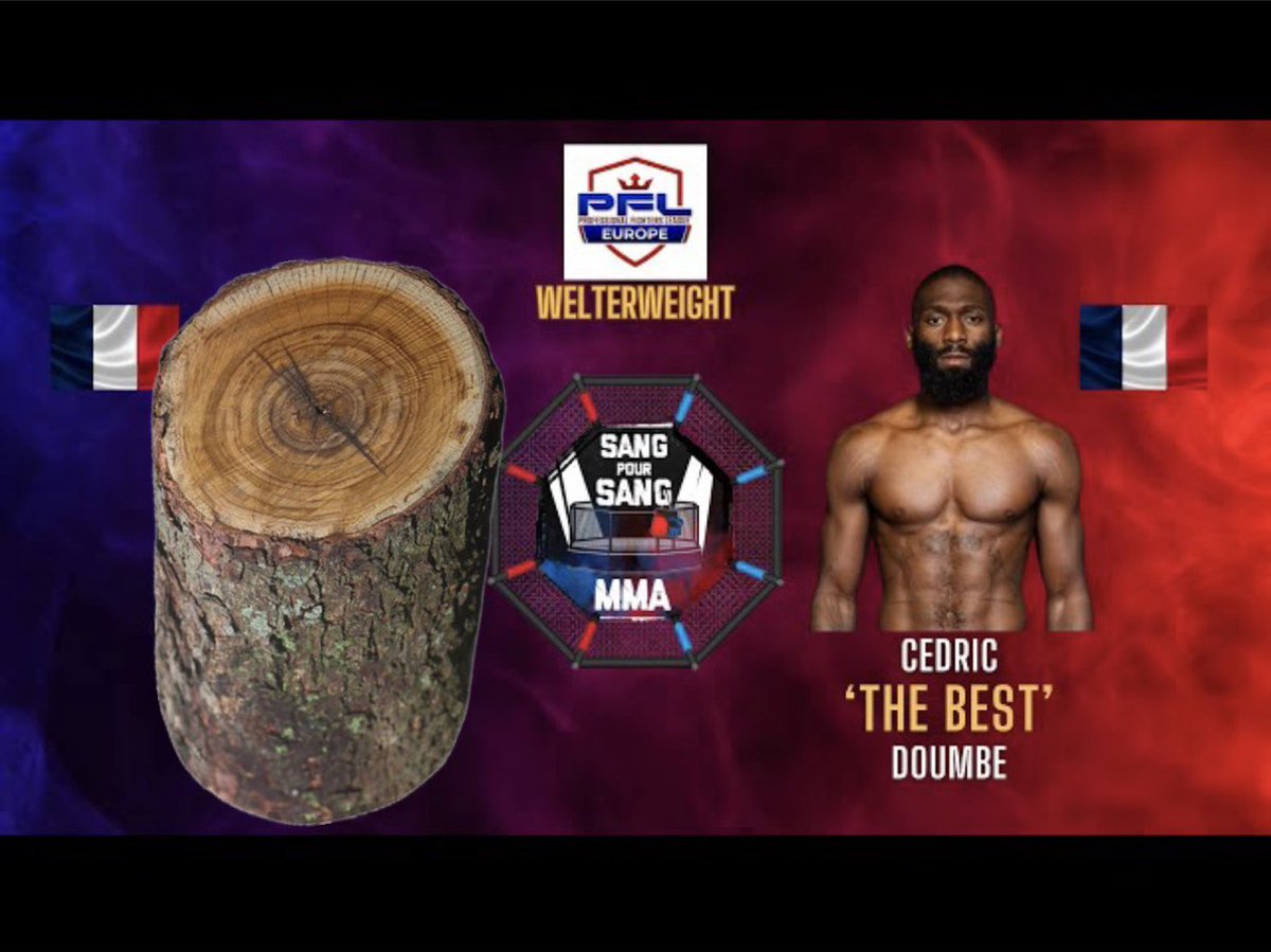 Rémy Fanchin tweet media