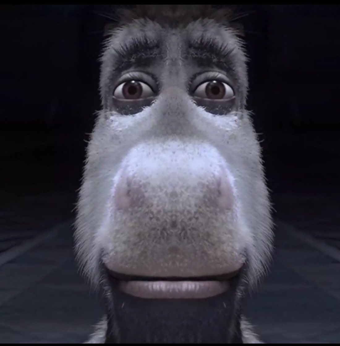 Tout ça pour une épine