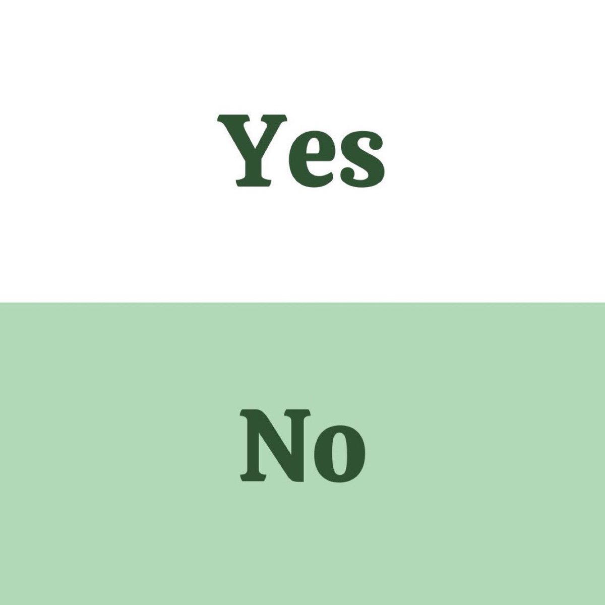 Sammlesie's tweet photo. I'm off to bed now, it's been a wild ride, but I met such a group of soundies. Thanks for being my co-campaigners and allies, I'm hoping we can say leaning towards new friendships 👀. Anyhow, tomorrow remember to Vote, so important.  Yes on the white paper, No on the green paper https://t.co/7JrhQINjOs