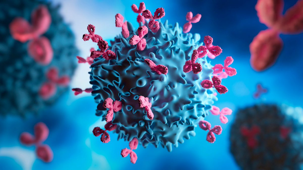 MDAndersonNews's tweet image. Our latest research advances include:

• A therapeutic target to overcome venetoclax resistance in #AML 
• Serum tumor biomarkers to help stratify patients with #AppendixCancer
• A combination treatment for cancers overexpressing Aurora-A and loss of PTEN function

Learn more:…