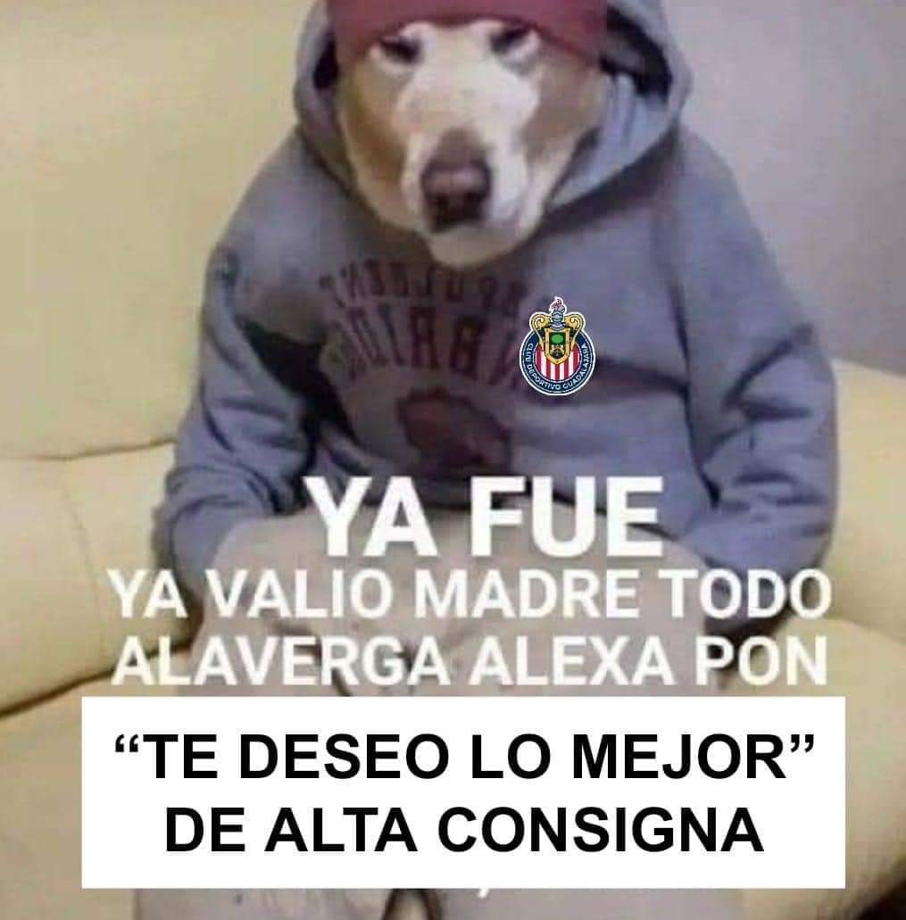 ChivasShitpost's tweet photo. ya ni se presenten a la vuelta pinches pendejos https://t.co/RzpRzPZApU