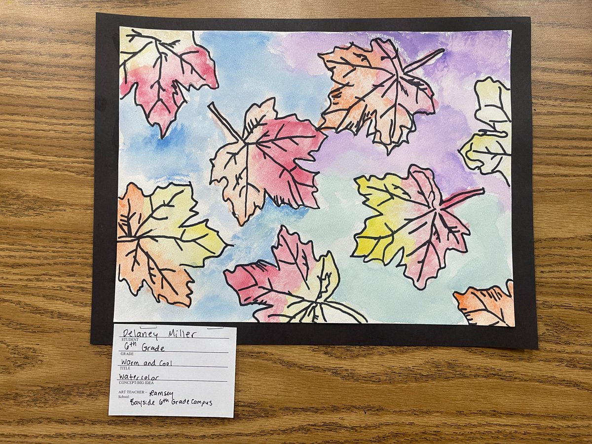 Congratulations to Bayside 6 student Delany Miller on being selected to have her artwork in the Youth Art Month (YAM) Show at MOCA @VirginiaMOCA Way to go!