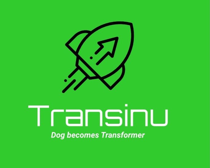 transinu.bit tweet media