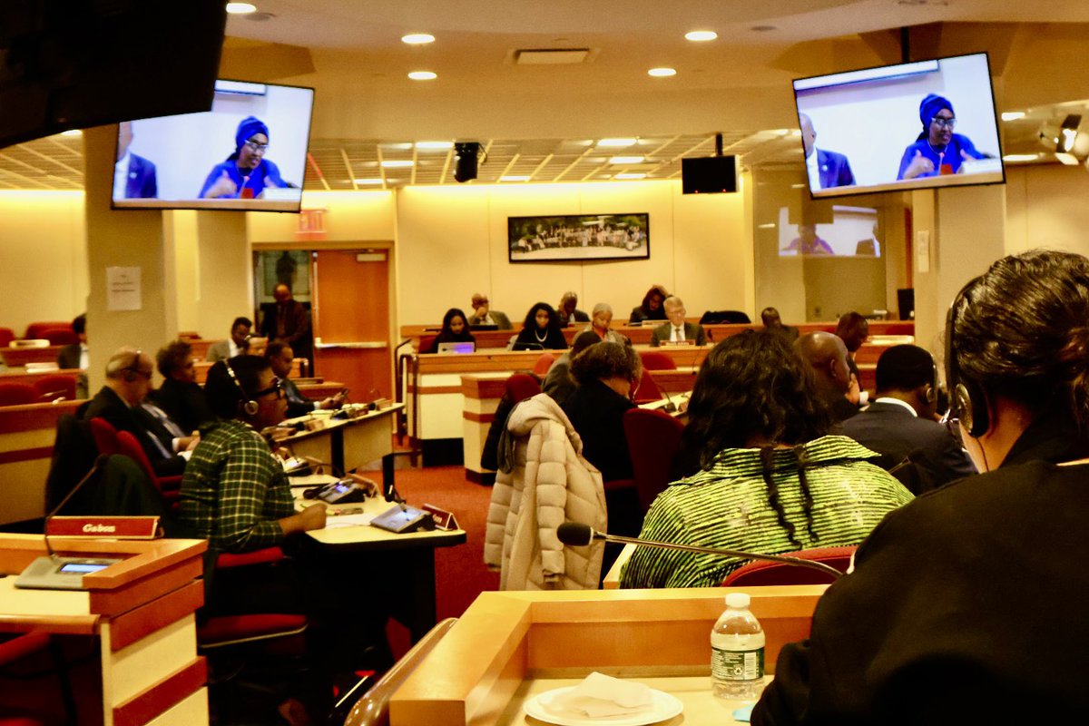 AfricanUnionUN tweet picture