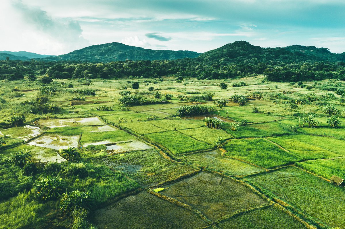 The Lincoln Institute of Land Policy invites proposals for original research that examines the challenges and implications of land-based climate change mitigation responses to promote action that is more effective and equitable.