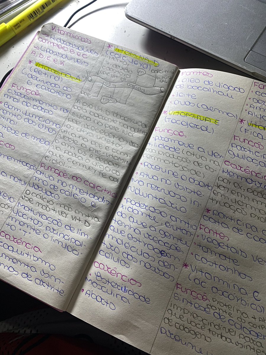 KeyyStudy1's tweet image. Dando uma pausa nas vitaminas pra assistir meu Vascão e Jaja fazer exercícios🥵