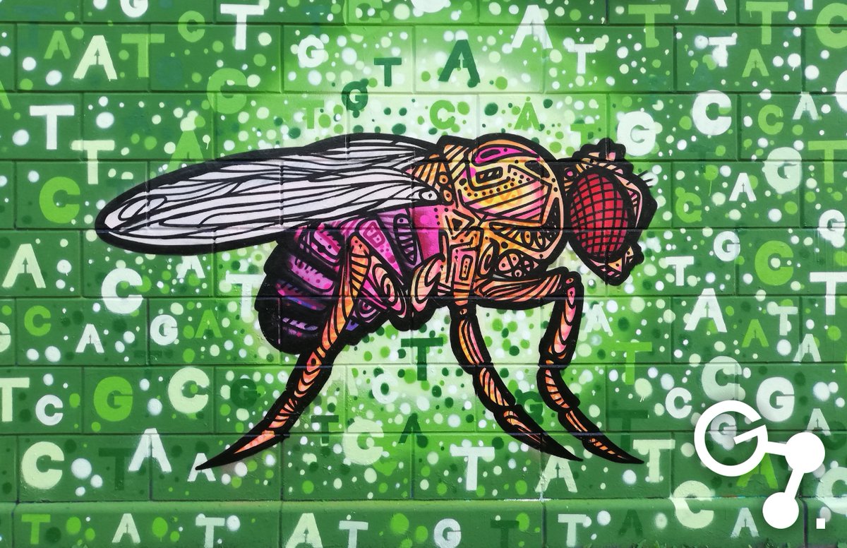 Genesee Scientific tweet media