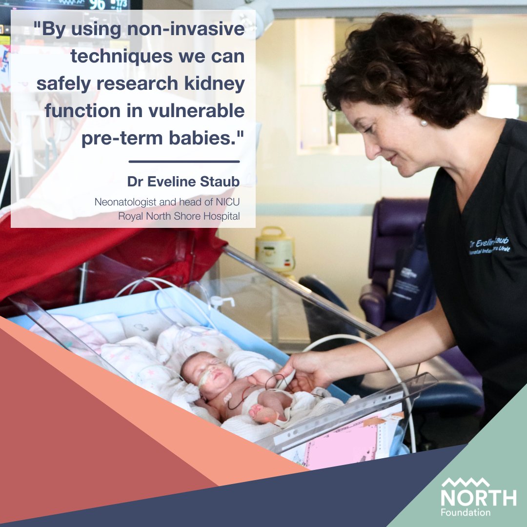 On #IWD2024 join us in celebrating the talented female leaders within #nthsydhealth. Dr Eveline Staub is head of NICU at Royal North Shore Hospital, studying kidney function in pre-term babies and its role in longer-term cardiac risk factors bit.ly/3To0bY2 #Investinwomen