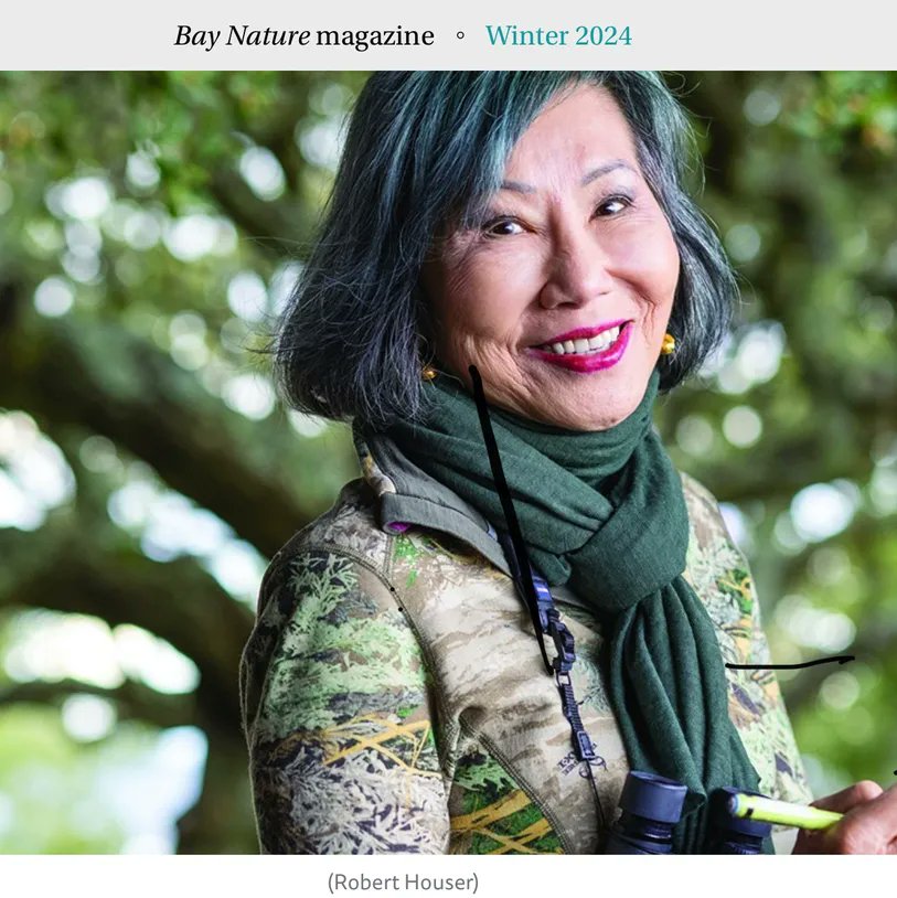 Bestselling author #AmyTan has filled journals with anecdotes, observations, and drawings of backyard birds. baynature.org/article/an-int…