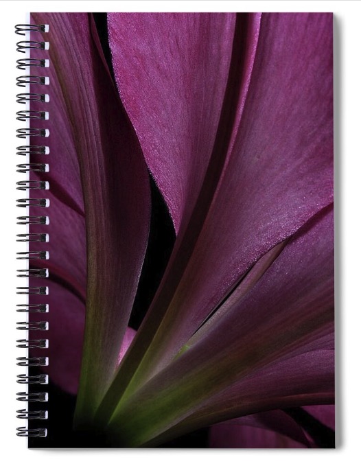 GIVE THE GIFT OF FLOWERS - ON A NOTEBOOK/JOURNAL!
Featured here is my Image LILY-4148.

julie-powell.pixels.com

#juliepowellfineart #macrophotography #photography #flowerart #wallart #macrobotanical #botanicalart #flowers #flora