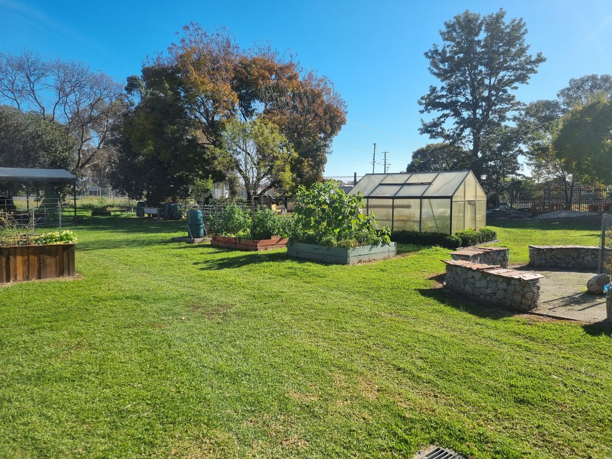Green galore at Benalla P-12 College! The @handsonlearn team built the greenhouse and vegetable garden beds to grow seasonal produce. The fresh and organic produce is used for meals shared with the school community. 🥬🍅