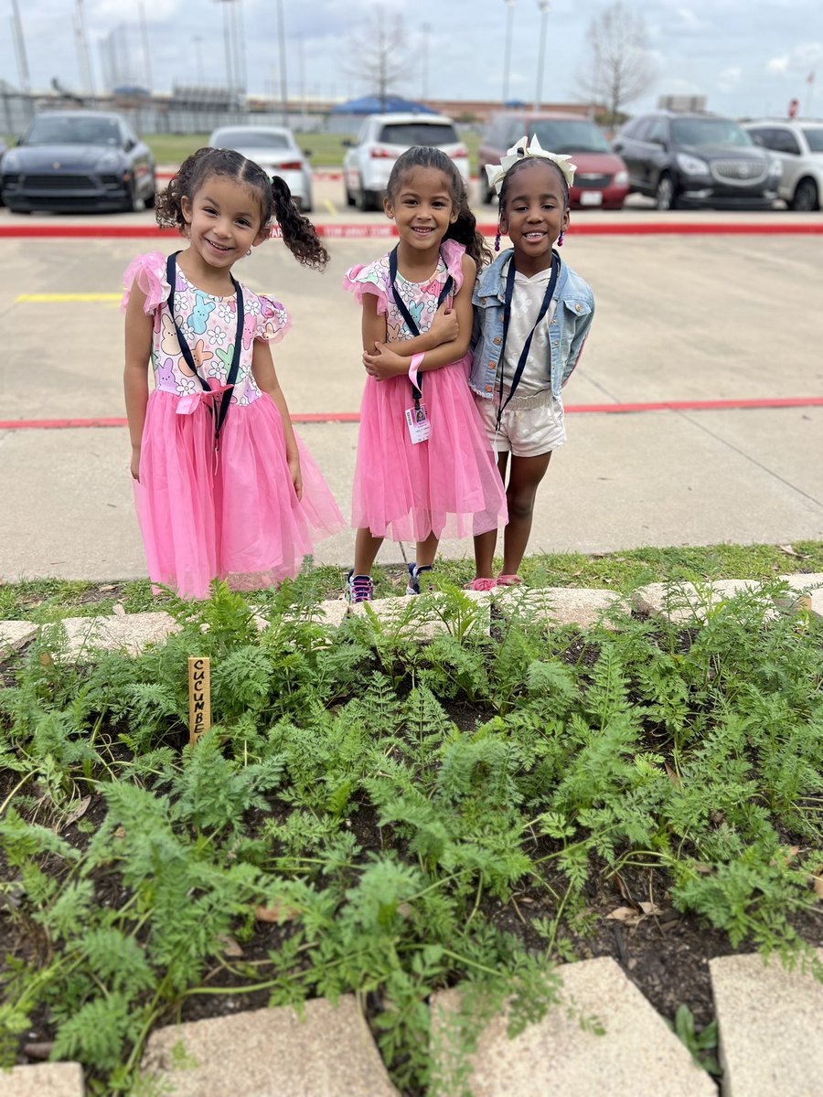 Mrs_Stevenson23's tweet photo. We had the best time exploring our school garden for the first time! #PrekFun #Schoolgarden #cfisd #WarnerWolves https://t.co/sAriufLYe5