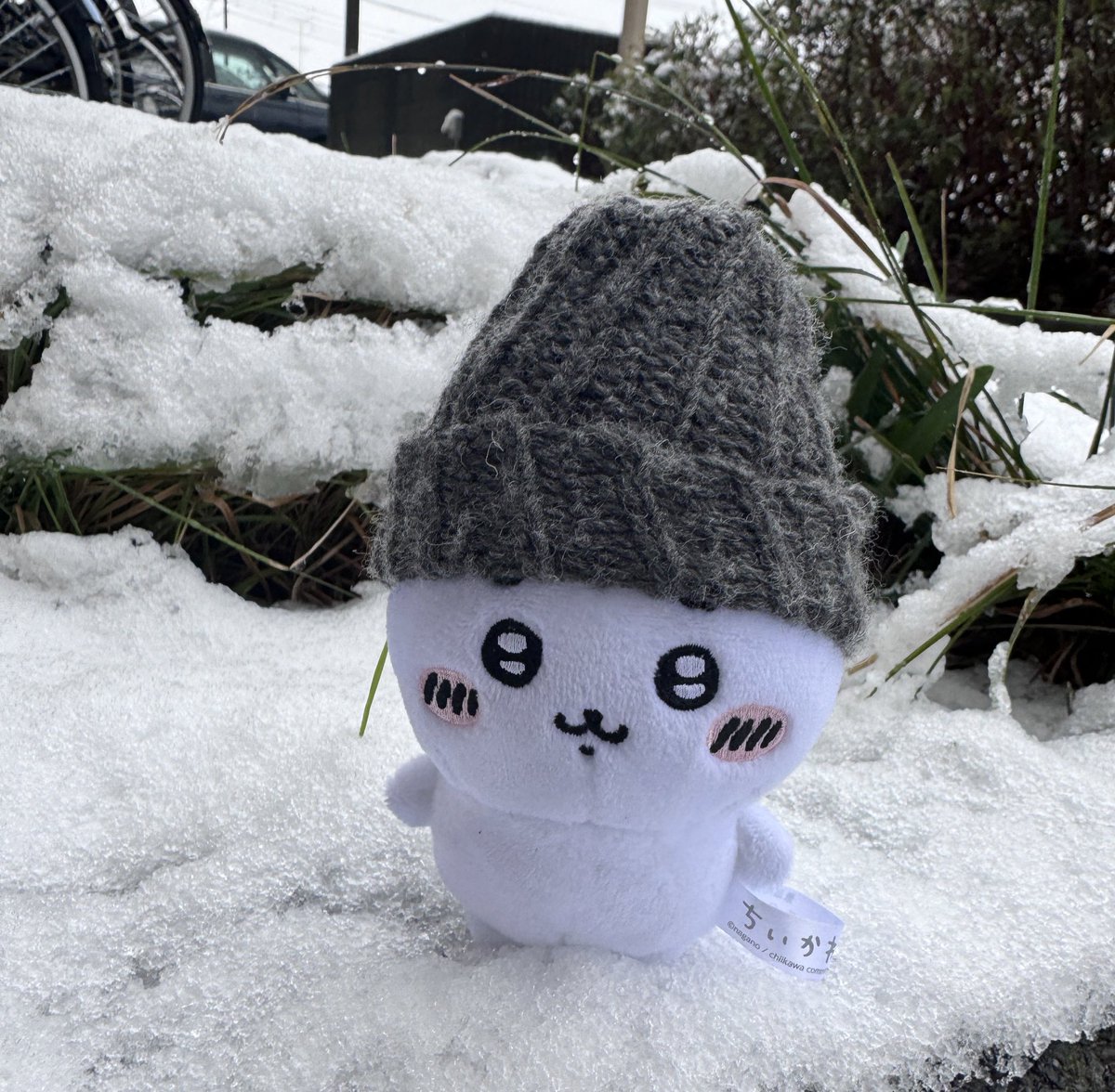 jiyama889's tweet photo. ⛄️ https://t.co/KVYjJSoXCr
