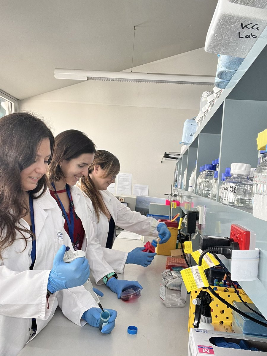 Dr Kate Giles tweet media