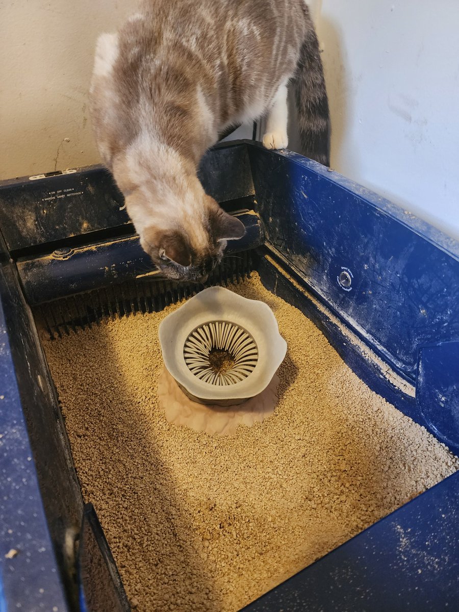 had a cursed idea to spruce up my cat's litter box using my Dune Popcorn Bucket lid